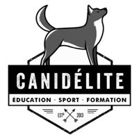 logo carré le chien mon ami
