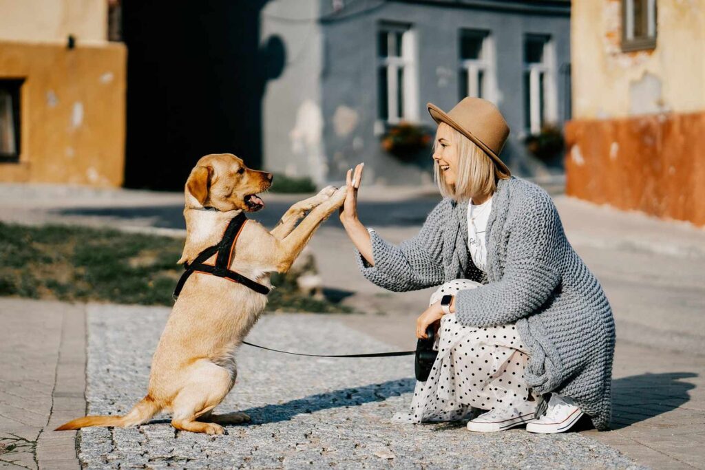 Un chien et son maitre dans la rue rigolent de manière complice