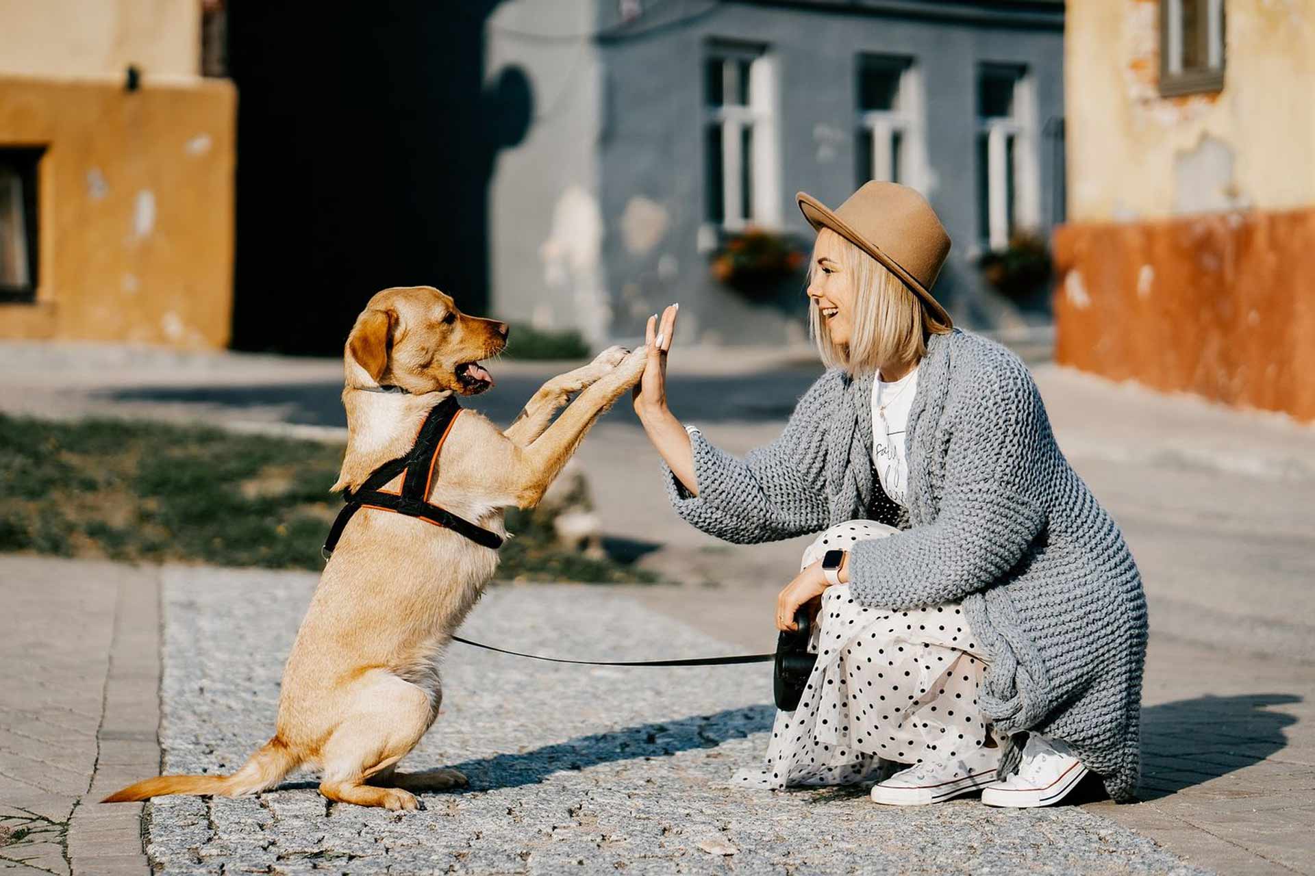 Un chien et son maitre dans un parc