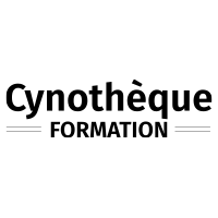 logo carré le chien mon ami