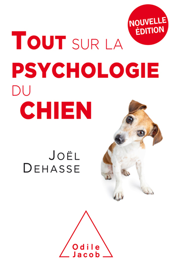 logo carré le chien mon ami