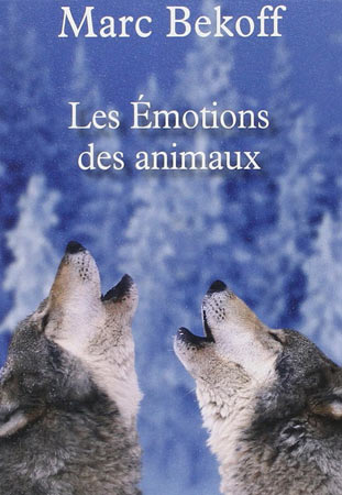 logo carré le chien mon ami