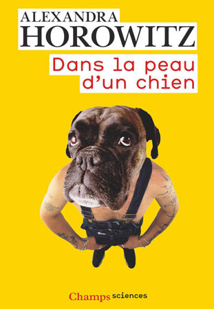 logo carré le chien mon ami
