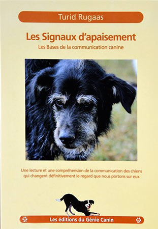 logo carré le chien mon ami