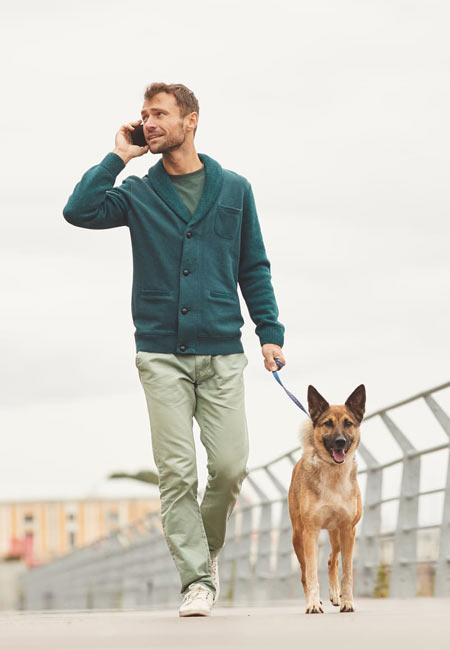 Chien regardant vers l'horizon en pleine nature