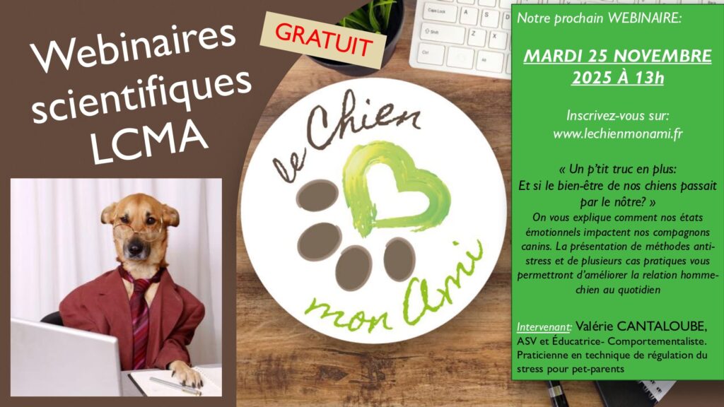 webinaire LCMA Novembre 2025