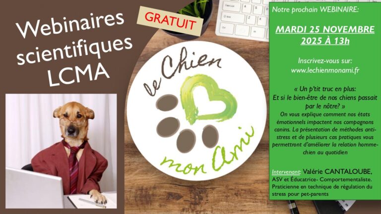 webinaire LCMA Novembre 2025