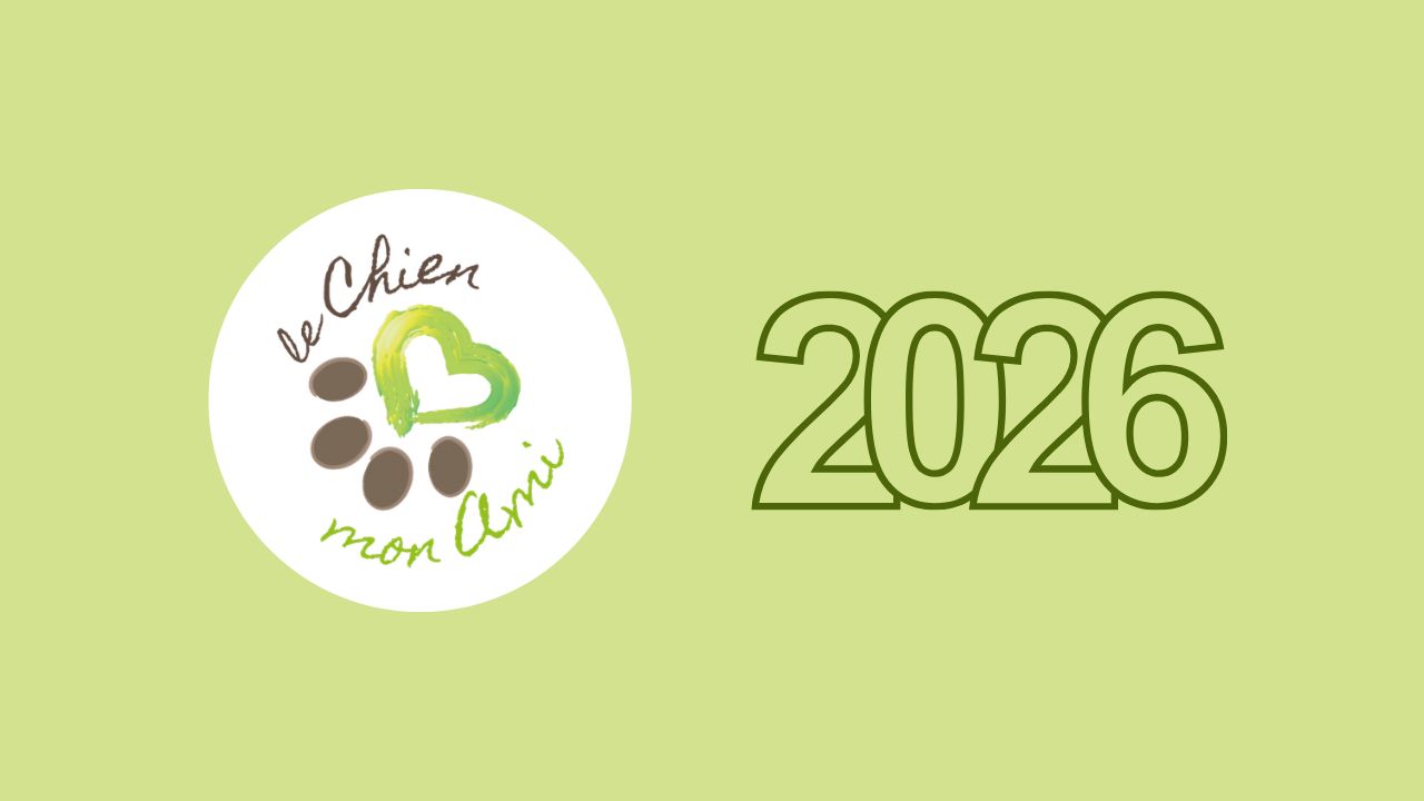 Logo LCMA et logo 2026 sur fond vert