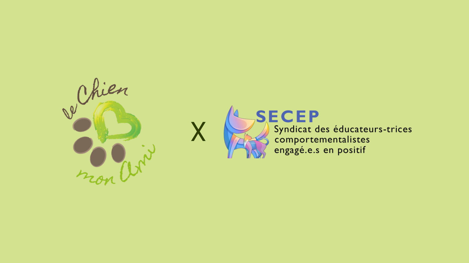 Chiots enfermés dans une cage, attendant d'être vendus lors d'un salon du chiot.