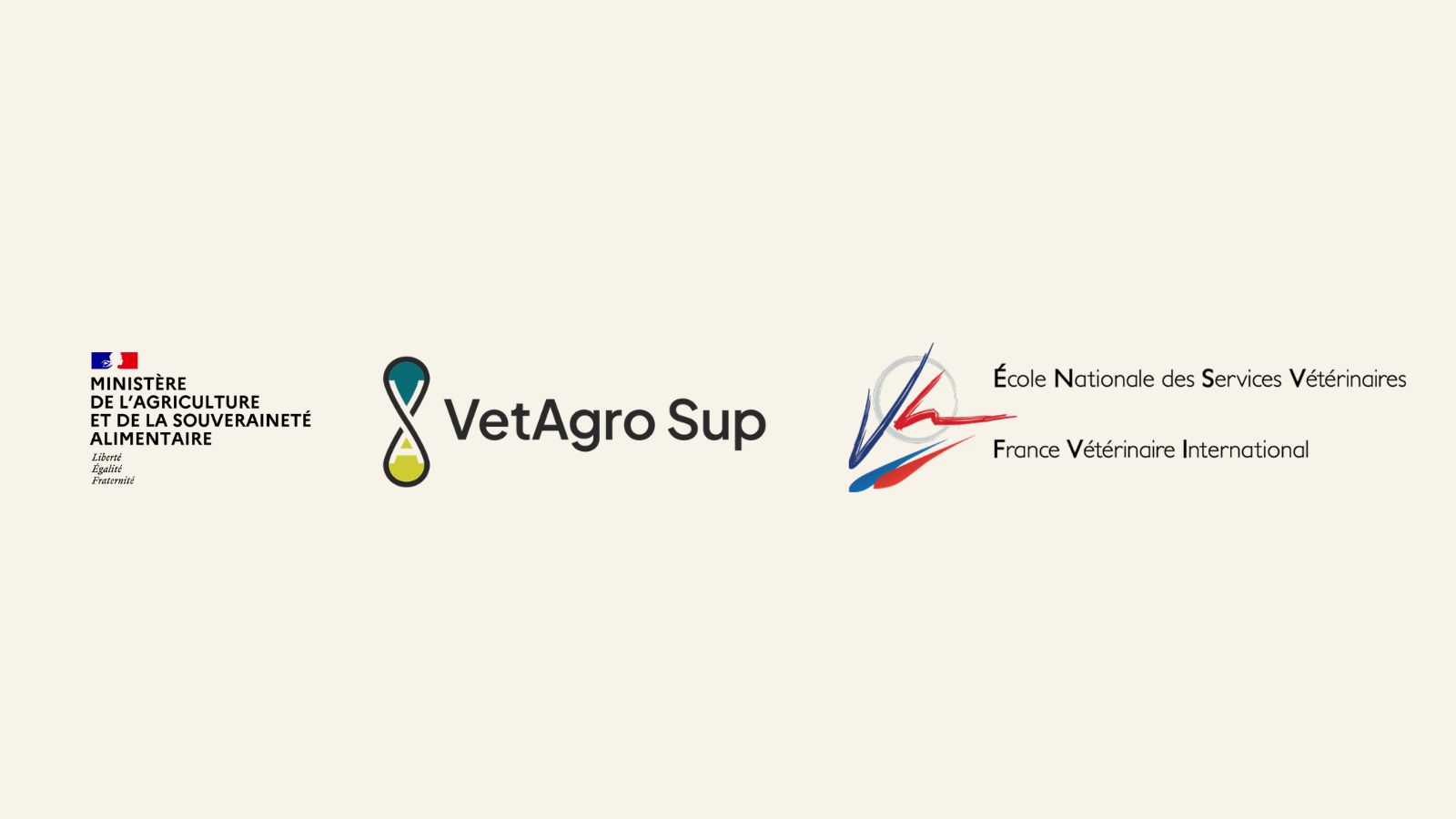 Logos Ministère de l'agriculture, VetAgro Sup et Ecole Nationale des Services Vétérinaires