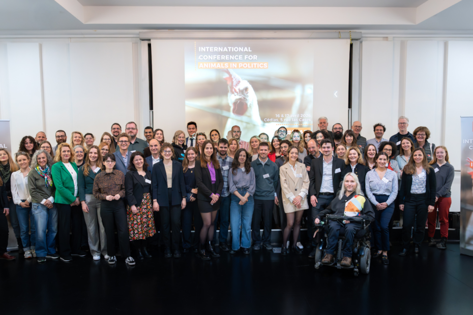 CAP réunit 60 ONG de 12 pays pour un séminaire international à Paris.