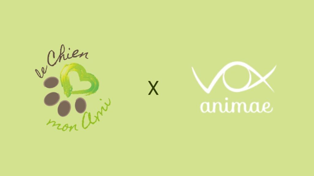 Partenariat LCMA Vox Animae