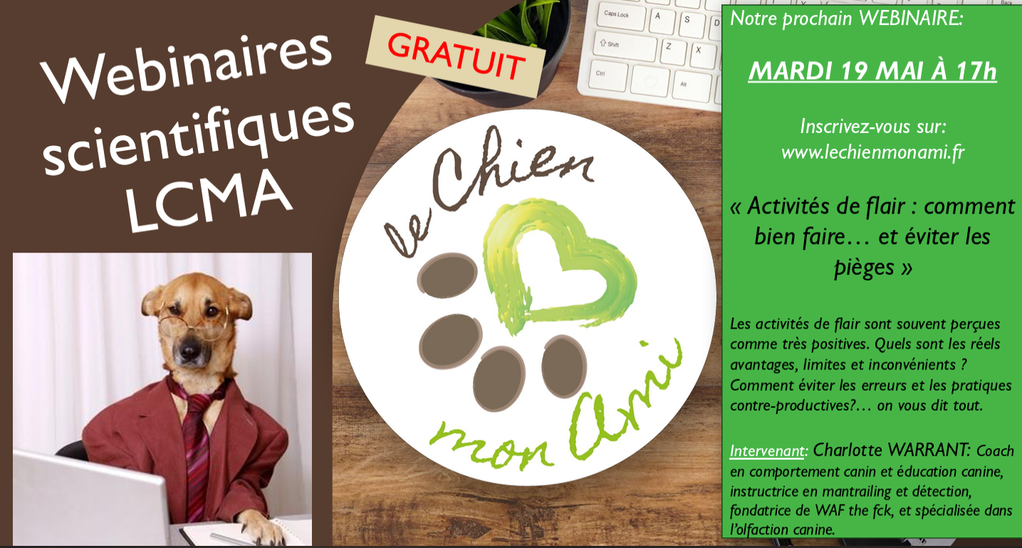 webinaire LCMA mars 2026 : le nez du chien