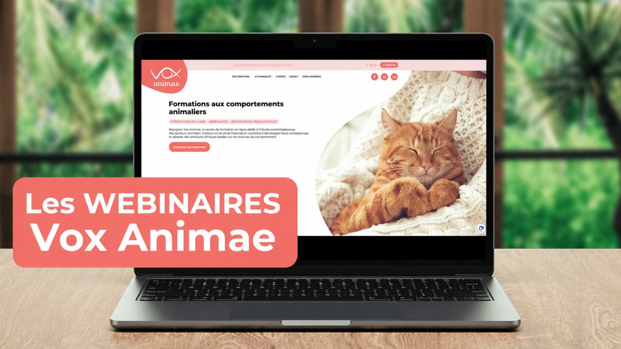 webinaire LCMA mars 2026 : le nez du chien