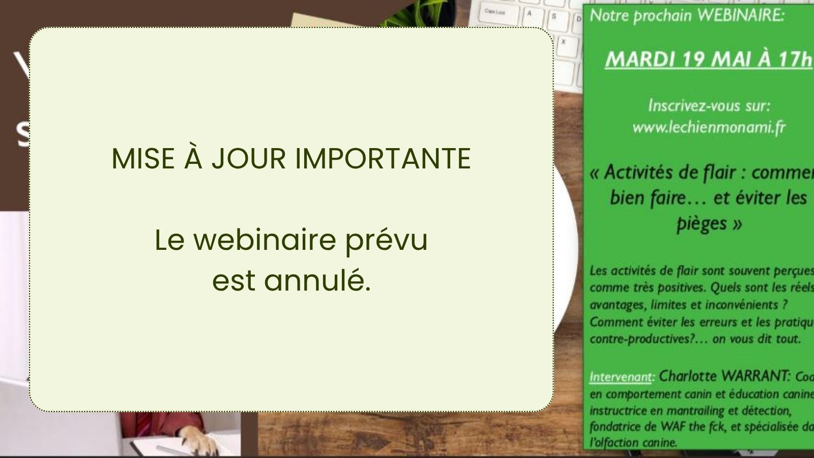 webinaire LCMA mars 2026 : le nez du chien