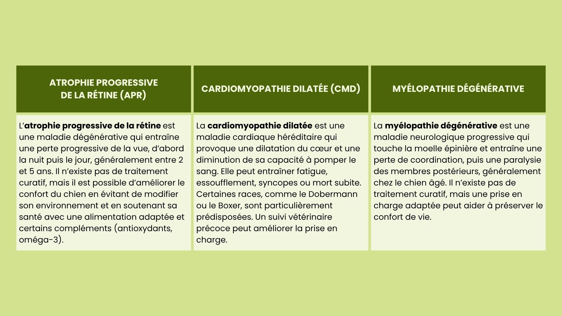 Tableau avec trois maladies héréditaires chez le chien liées à la sélection génétique
