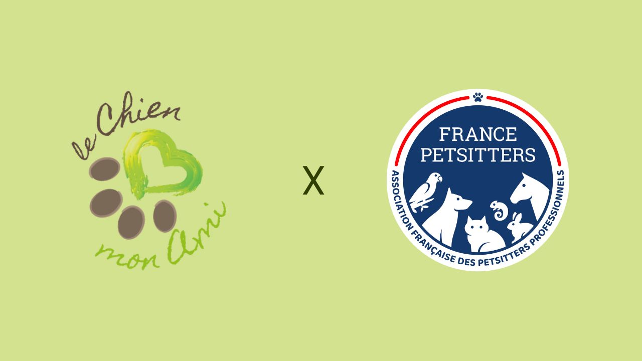 CAP réunit 60 ONG de 12 pays pour un séminaire international à Paris.