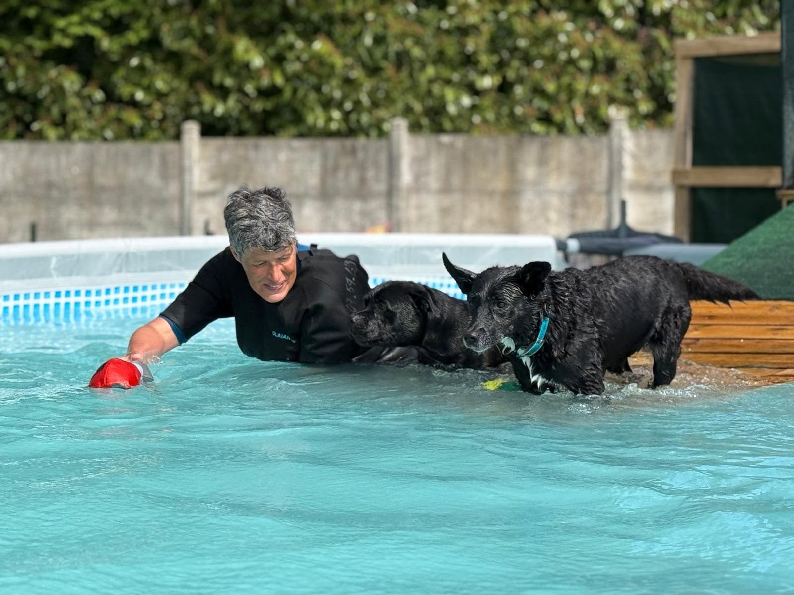 Séverine Lucet, comportementaliste canin, dans une piscine avec des chiens de refuge.