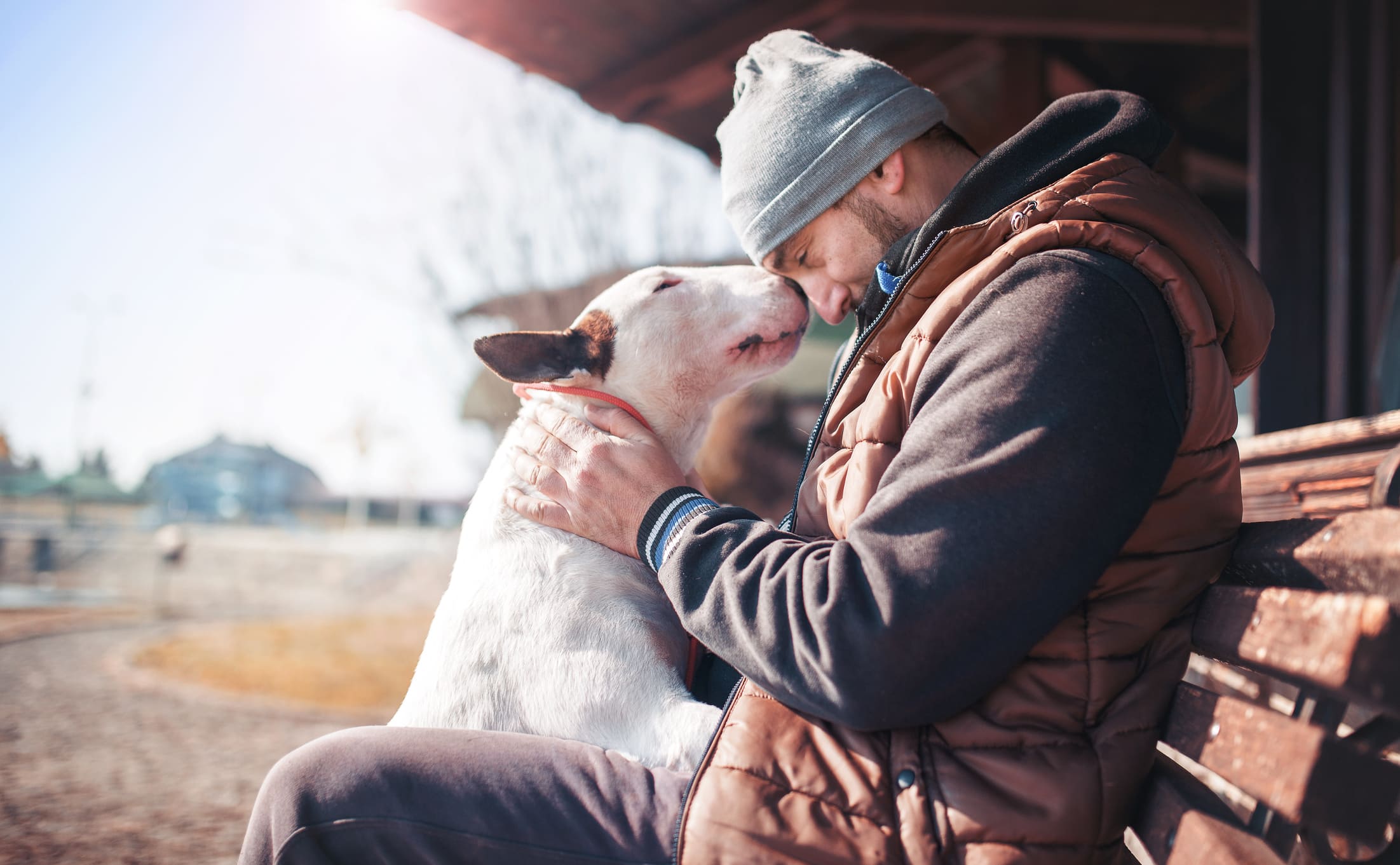 Un homme et son chien, face à face, partageant un moment complice.