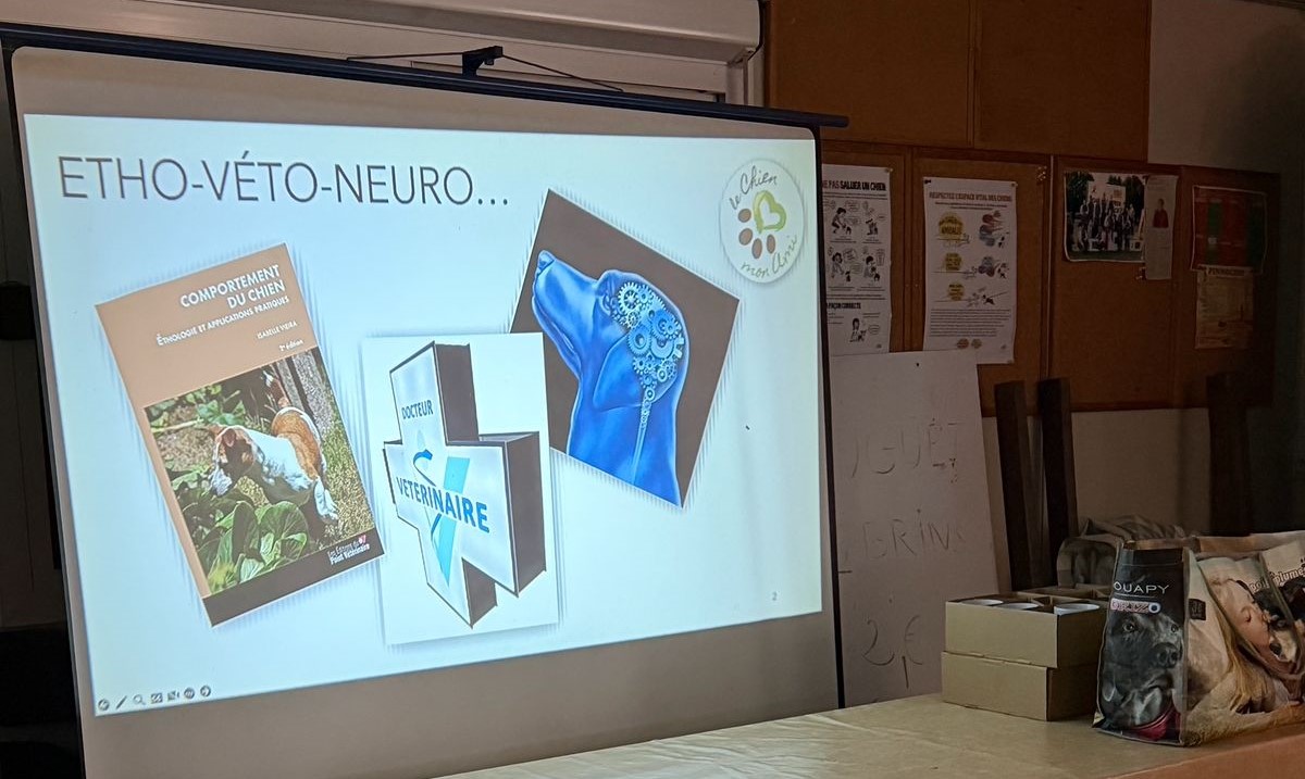 Présentation du DV Vieira : Etho-véto-neuro