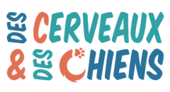logo Des Cerveaux et des Chiens