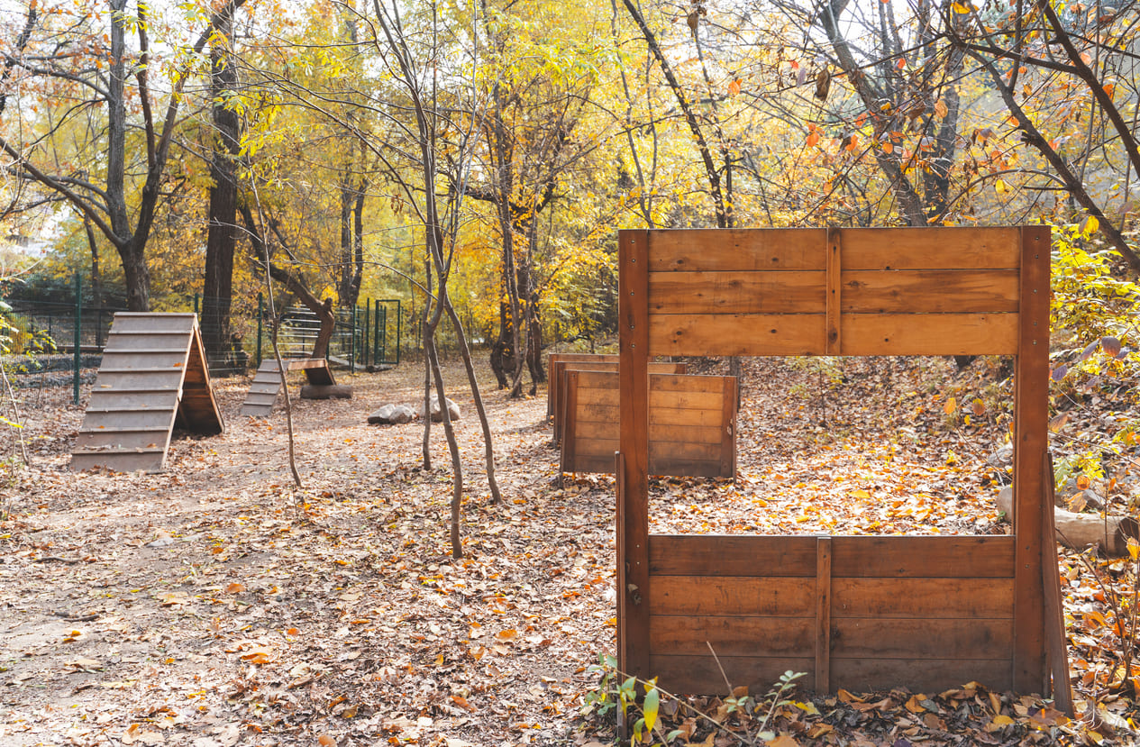 Parc canin dans les bois en automne
