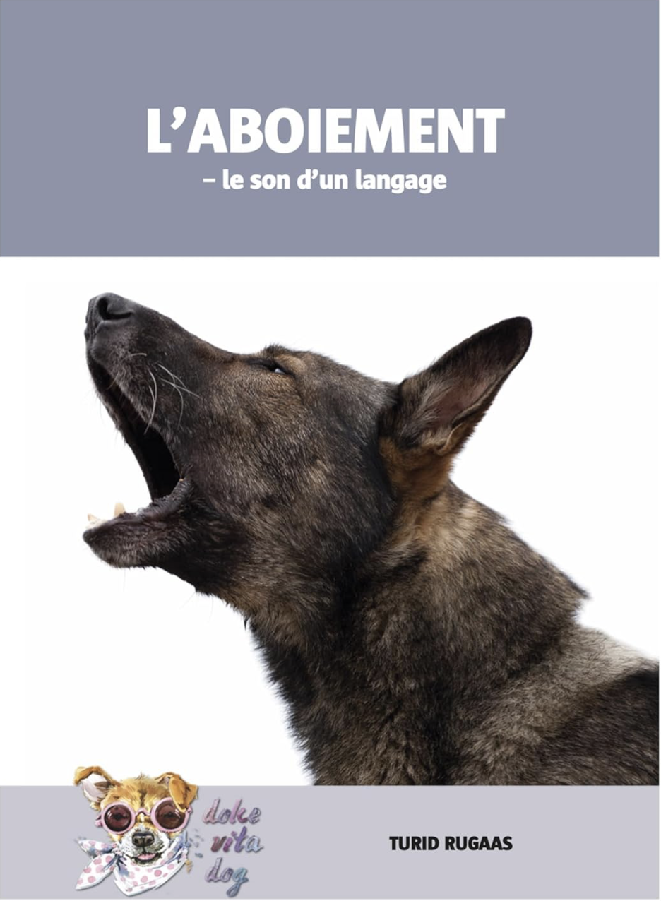 logo carré le chien mon ami