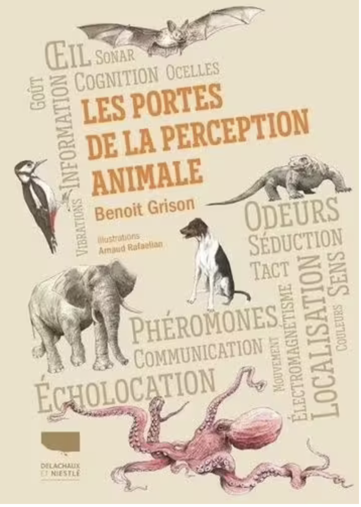 Animal training : successful animal management through positive reinforcement de Ken Ramirez